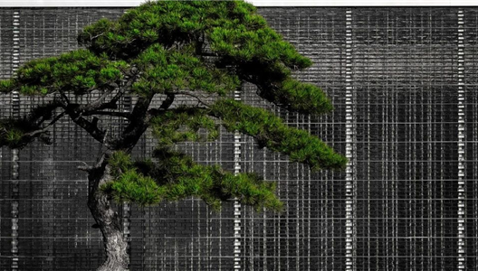 中原·澜台府 | 园林潜藏礼序，，，，，，让生涯向精彩而行